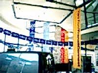 Ford Connect Lansman