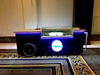 Seyyar Dondurma Arabası Standı