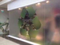 Mall of Istanbul AVM - H&M Mağazası Vitrin Çalışması