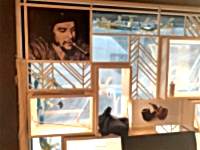 Tobacco Shop Görselleri