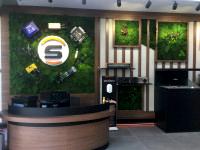 Semtech Duvar Dekorasyonu